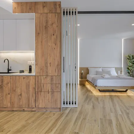 Sunny Loft With Plunge Pool Athen